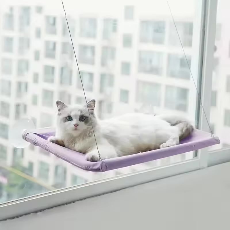 Window hammock